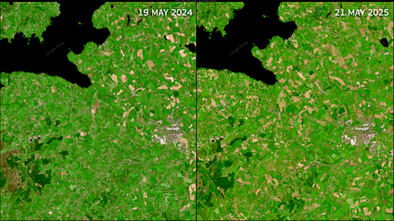 Satellite images reveal change in Irish landscape due to dry conditions Satellite images reveal change in Irish landscape due to dry conditions
