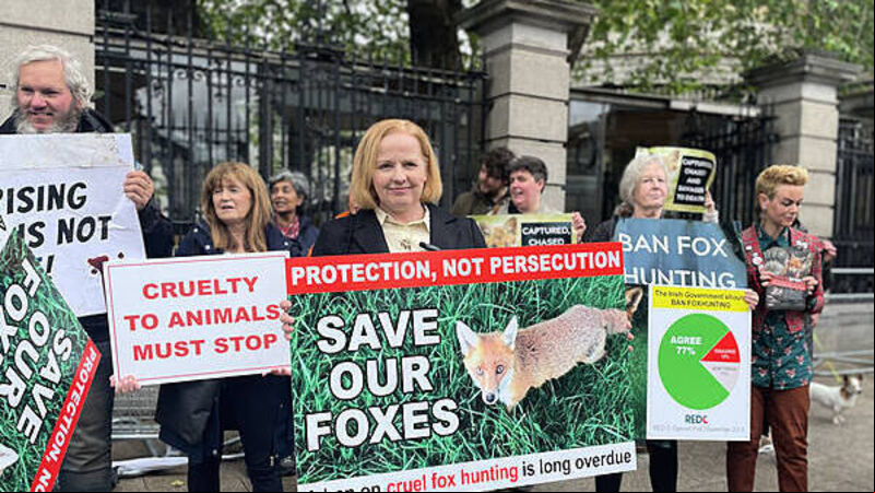 Bill banning ‘cruel’ fox hunting in Ireland introduced to Dáil Bill banning ‘cruel’ fox hunting in Ireland introduced to Dáil