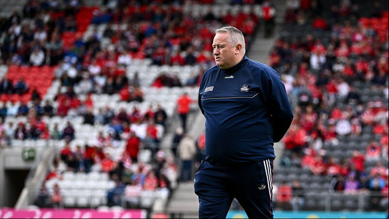 Pat Ryan: Limerick set the standard for all hurling counties with their attitude and effort Pat Ryan: Limerick set the standard for all hurling counties with their attitude and effort