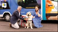 Bluebird Care sponsors training of 'Blue' for autism charity
