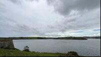 Approval of mussel farm in busy Cork harbour sparks public meeting