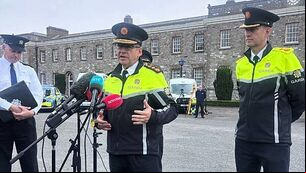 Gardaí to consider bringing in full-time cadaver dog, says Commissioner