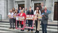 Cork city councillors urge public to  housing protest