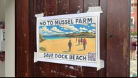 Hundreds gather in Kinsale to voice opposition to mussel farm