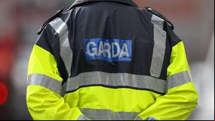 <p>Gardaí have launched an investigation after the decapitated body of a fox was found hanging from overhead electrical wires in Co Cork on Sunday evening.</p>