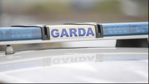 <p>Sergeant John Dineen outlined the background to the alleged incident.</p>